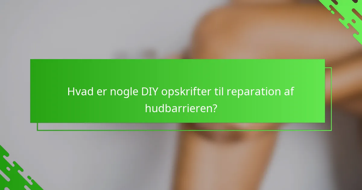Hvad er nogle DIY opskrifter til reparation af hudbarrieren?