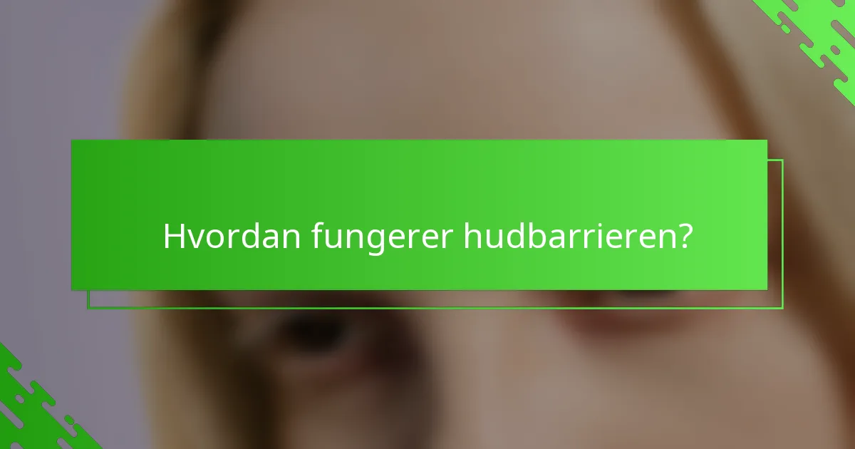 Hvordan fungerer hudbarrieren?