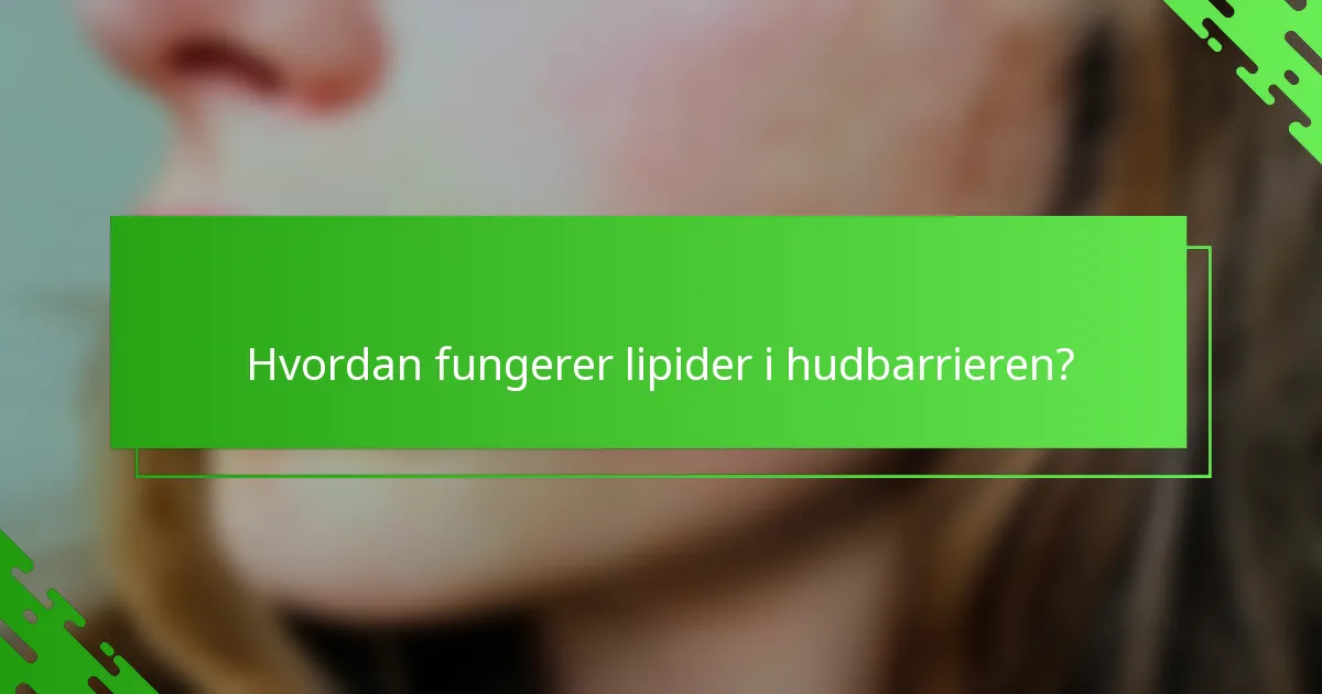 Hvordan fungerer lipider i hudbarrieren?