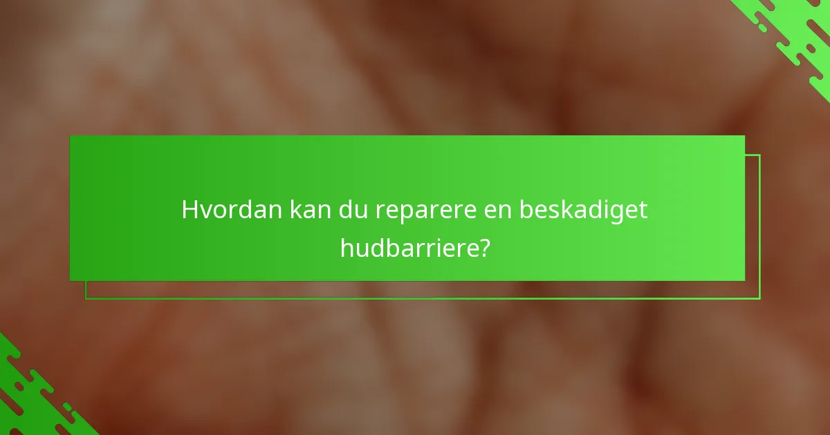 Hvordan kan du reparere en beskadiget hudbarriere?